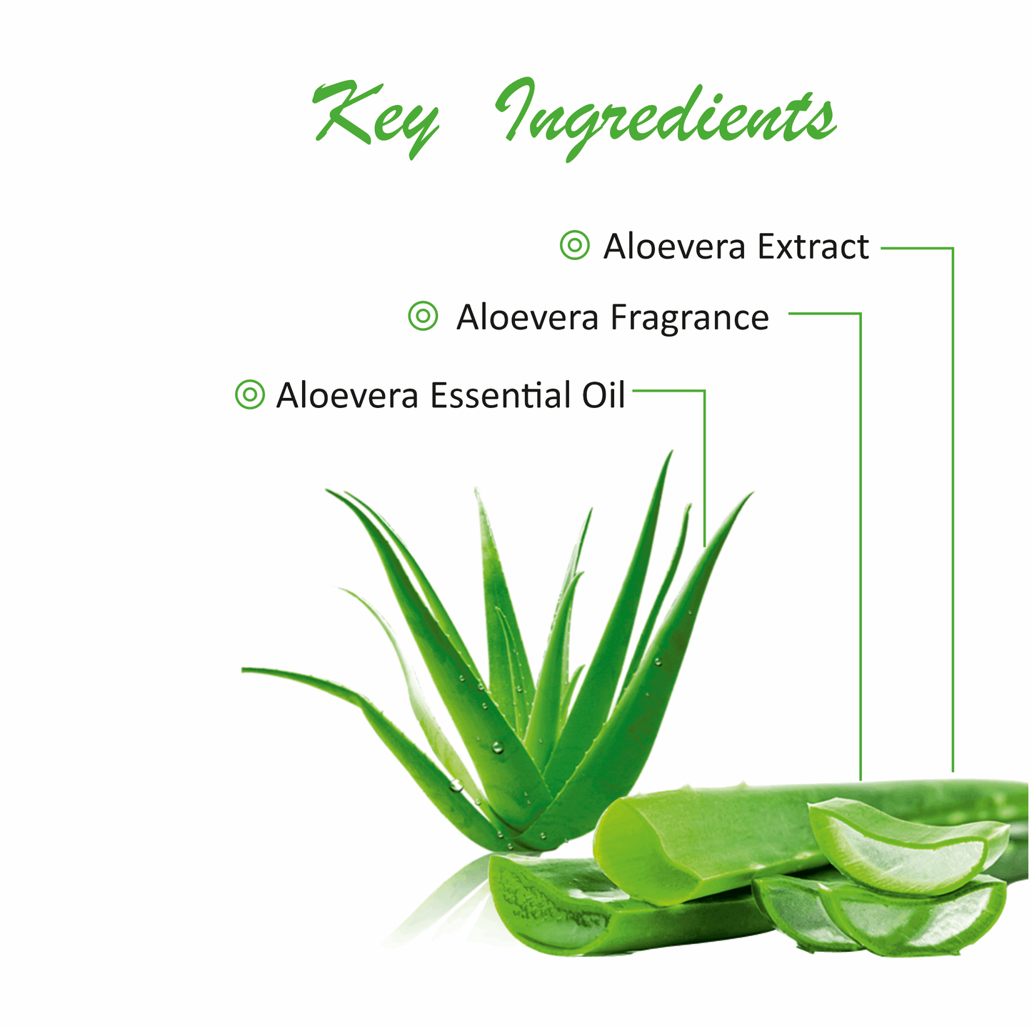 milk for aloe vera plant Pink Root Aloevera Cleansing Milk ,Smooth Soft & Clean Skin for Health